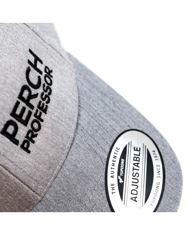 Czapka z daszkiem Perch Professor Snapback Curved Grey