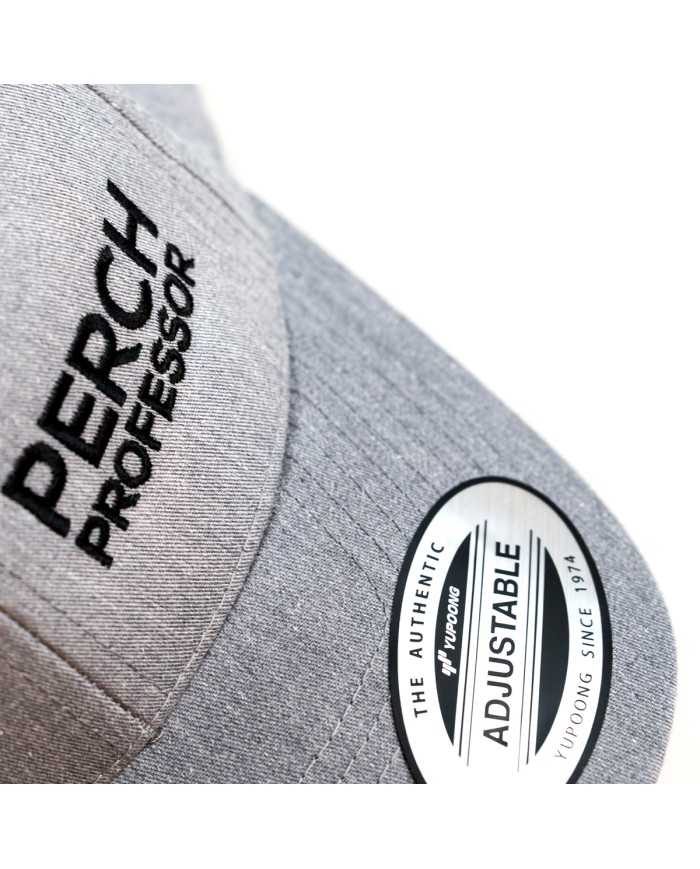 Czapka z daszkiem Perch Professor Snapback Curved Grey