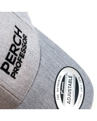 Czapka z daszkiem Perch Professor Snapback Curved Grey