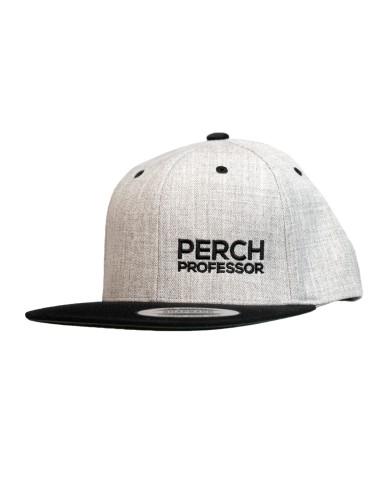 Czapka z daszkiem Perch Professor Snapback Classic Grey