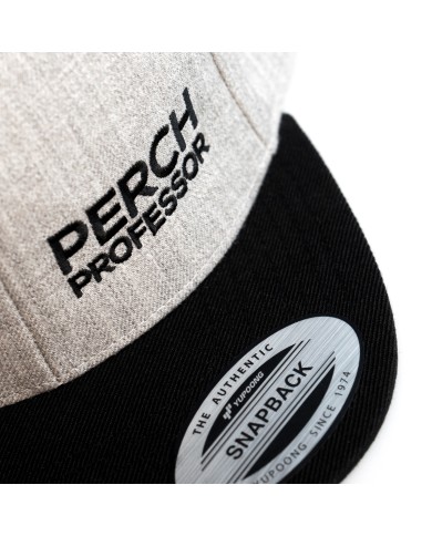 Czapka z daszkiem Perch Professor Snapback Classic Grey